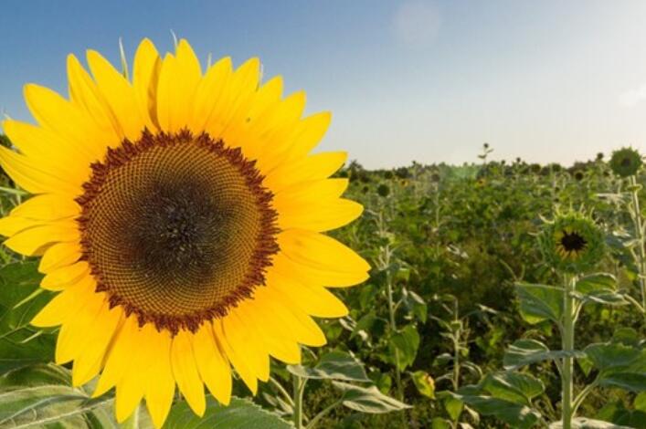 具有鼓励性的话