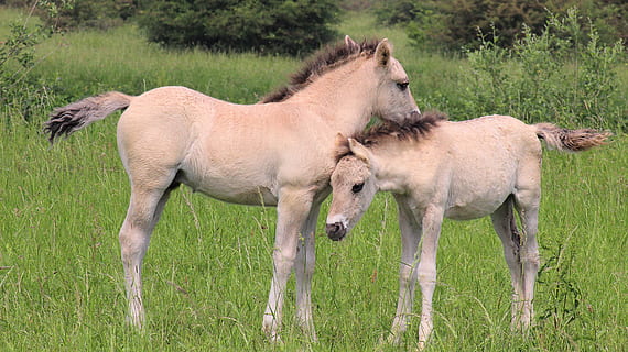感情难以抉择的说说文案短句