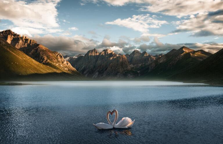 写给喜欢的女孩子的一段话