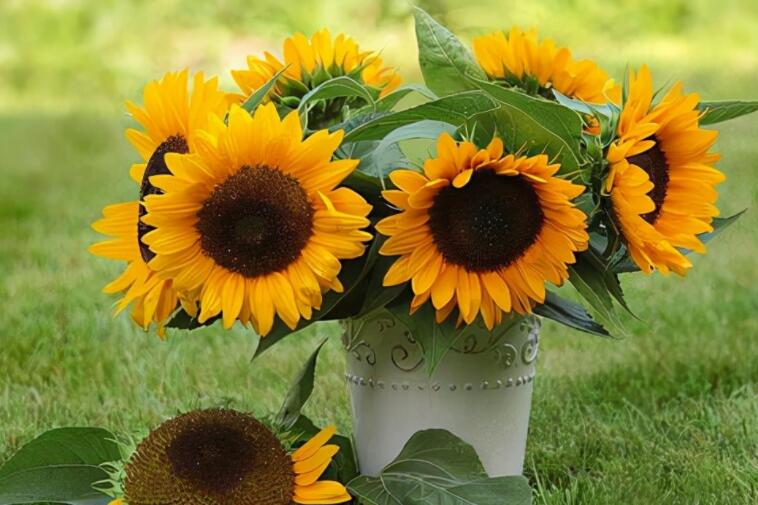 善待别人等于善待自己的句子文案