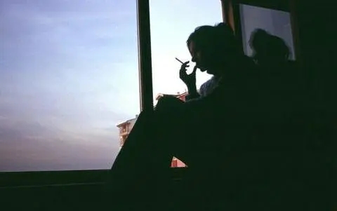 白日梦我小说的经典语录文案摘抄