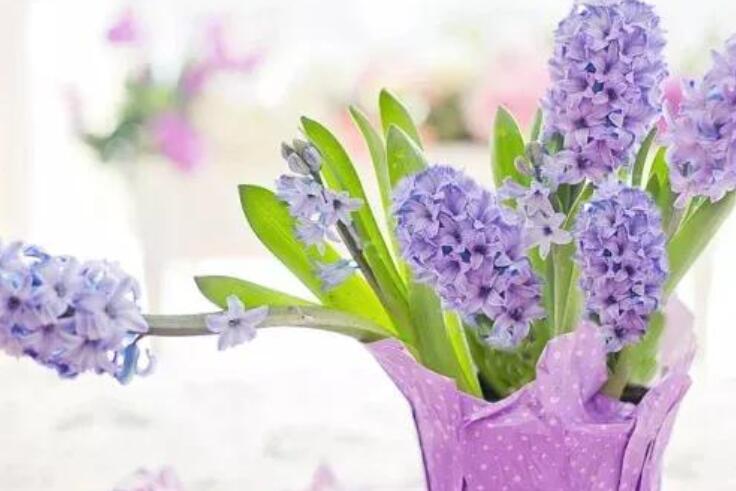 甜到炸的早安小情话文案