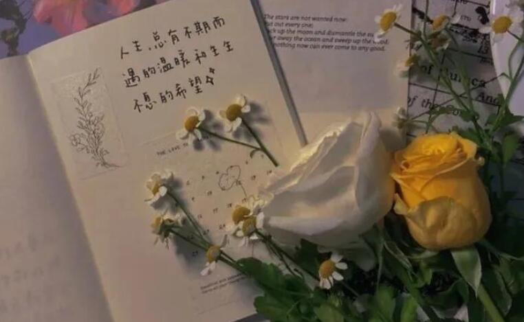 人生感悟朋友圈短句