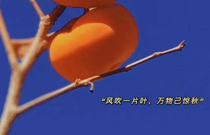 夸男人优秀的句子文案