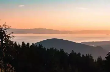 送给嘴笨心善的人的话