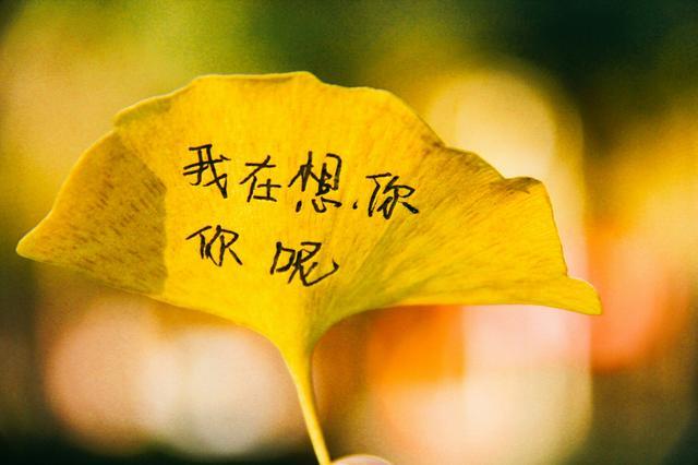 特别想念一个人的经典短句说说文案