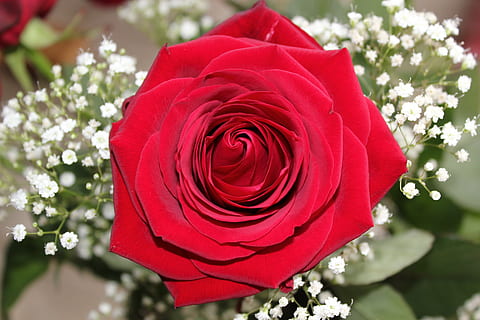 元旦祝福语大全简短爱情