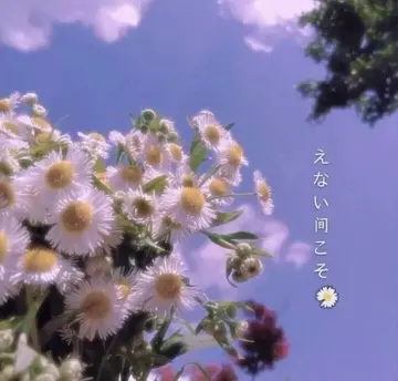 高冷优雅的文案