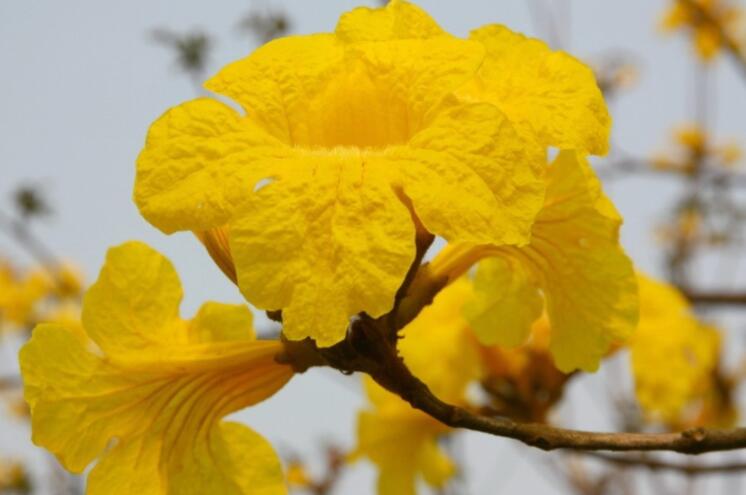 周一工作群早安问候语