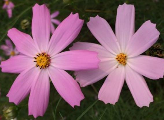 出门远行奋斗的唯美句子文案