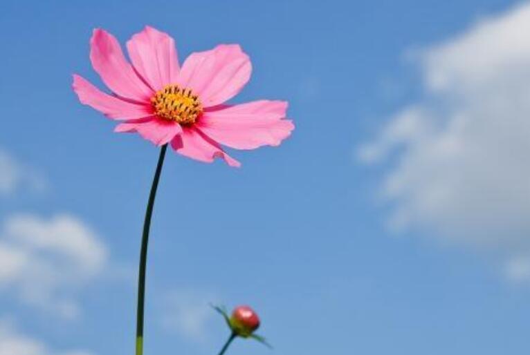 早上给情人肉麻情话文案