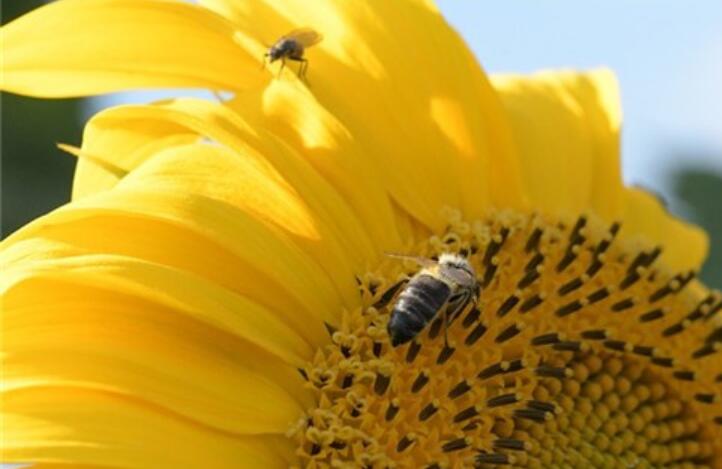 表达心情放松的句子文案