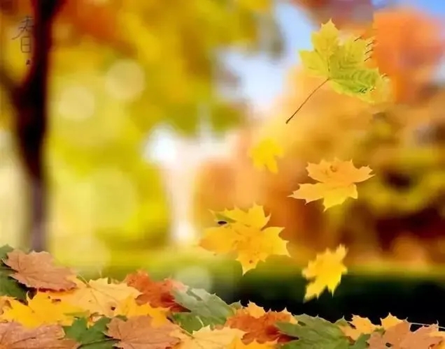 一辈子很长一辈子很短的经典语录文案