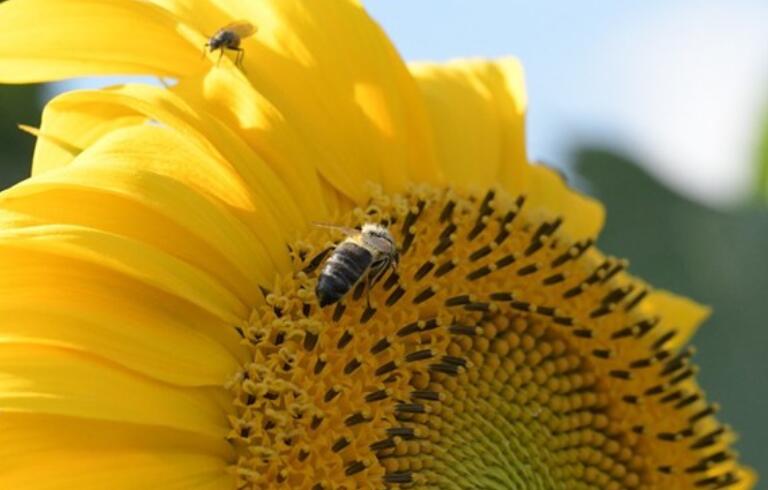 能量满满的早安语录文案