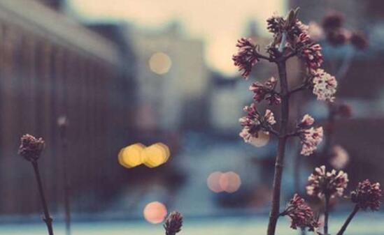 晚安心语说说文案