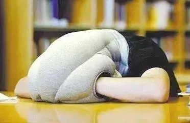 关于午觉的说说文案搞笑的