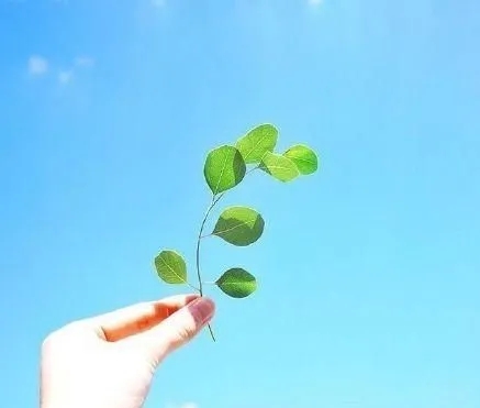 励志阳光的句子文案经典语句