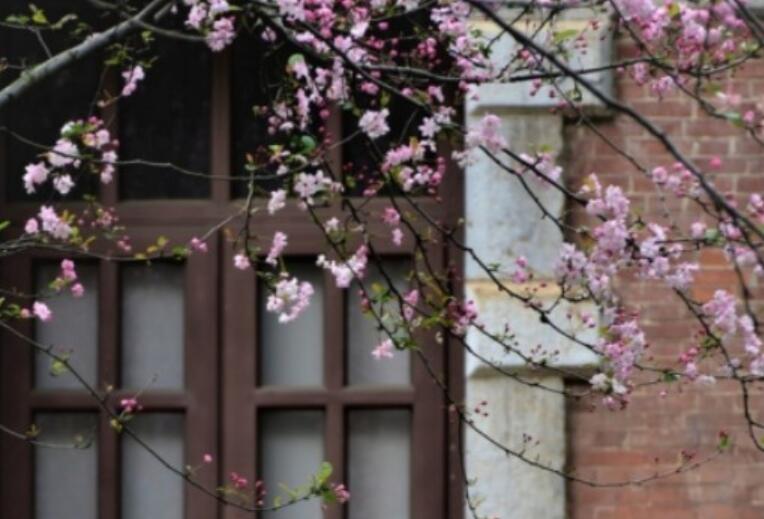 关于春天的好词好句文案