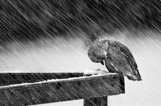 不为难别人的经典句子文案