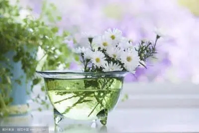 花与生活的唯美句子文案