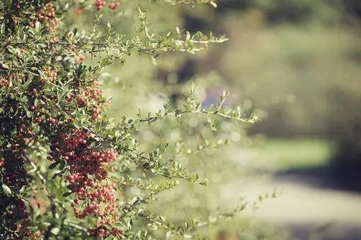 文艺的句子文案