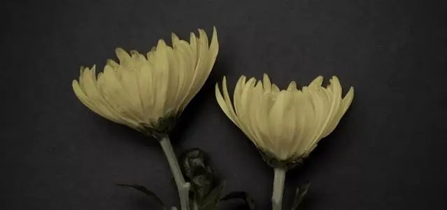 老人走了悼念的话语