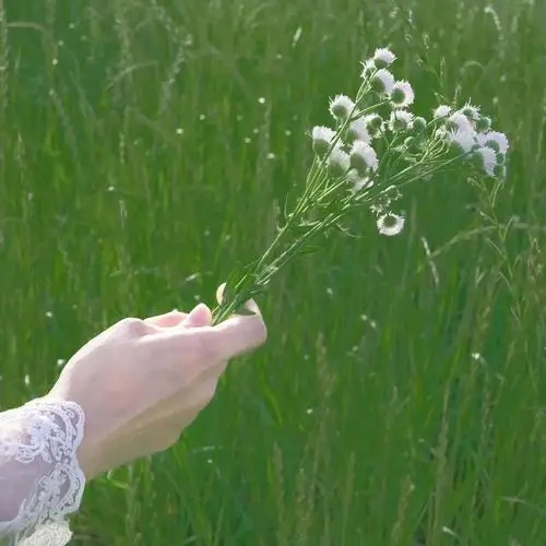 春天发的朋友圈配字