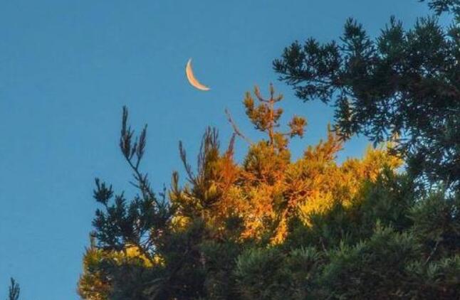 表达失眠夜难熬的句子文案