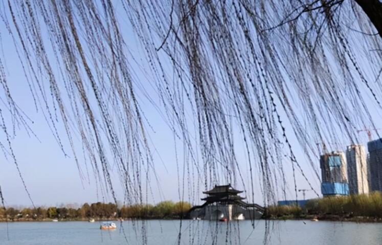 传承革命精神的句子文案