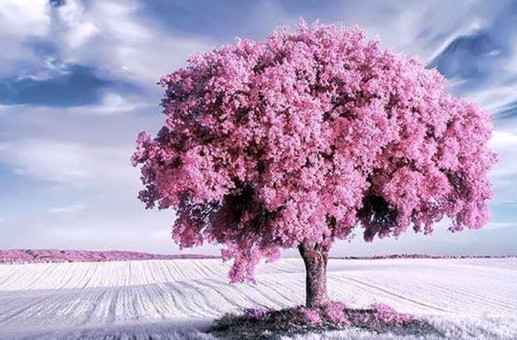 一句话正能量经典语录文案