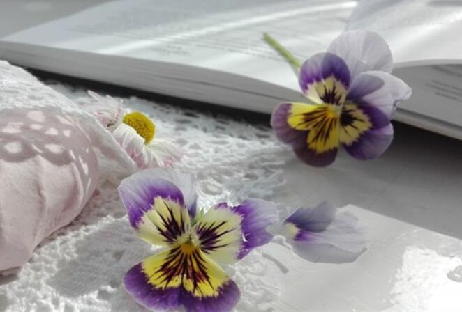 舒心生活的唯美句子文案