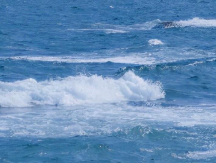 表达心情好的句子文案