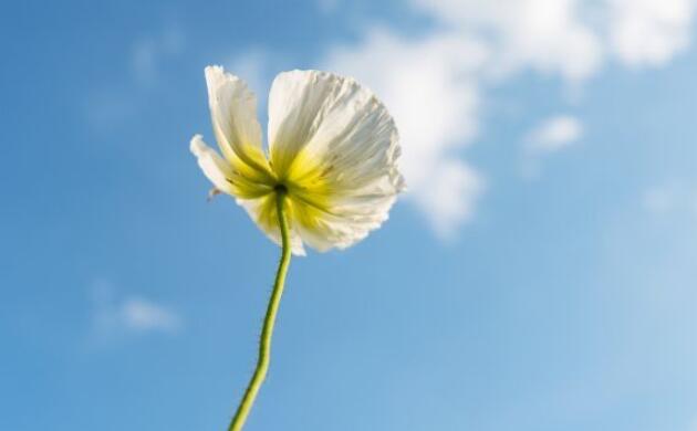 适合发朋友圈的文案和图片