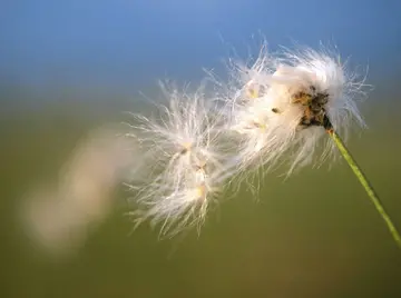 带有九月的诗句文案有哪些
