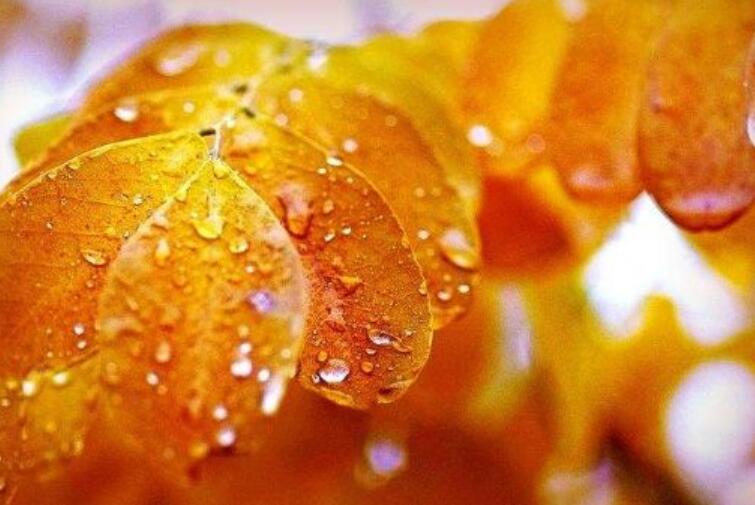 冬天下雨的诗句文案