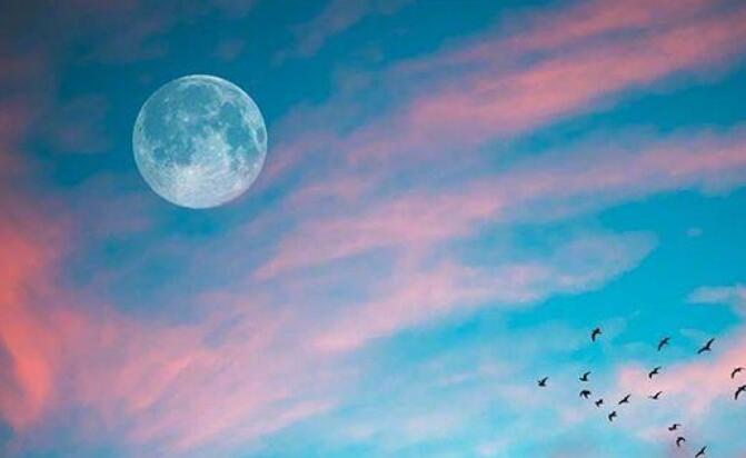 男人努力奋斗的句子文案正能量