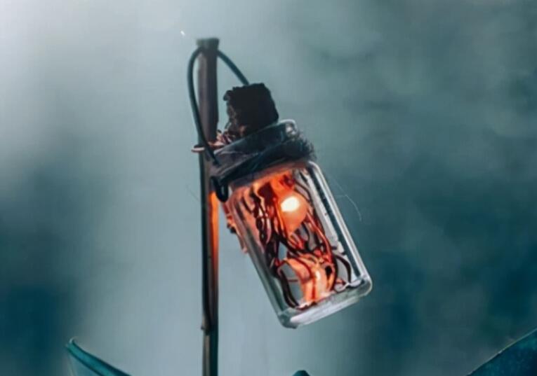 公司团建励志的句子文案