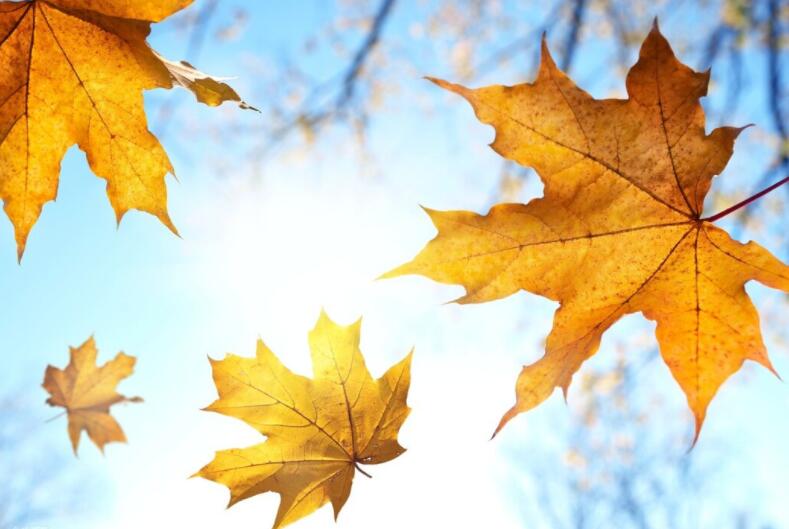 希望你能懂我短句