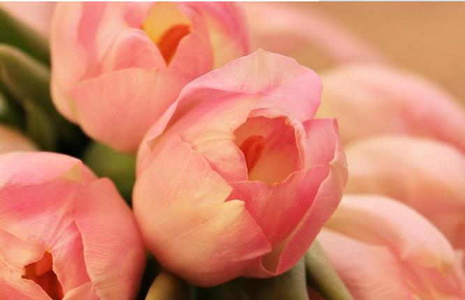 挽救婚姻最好的话语