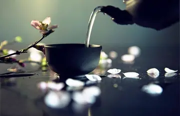 城外生书里的励志名句文案