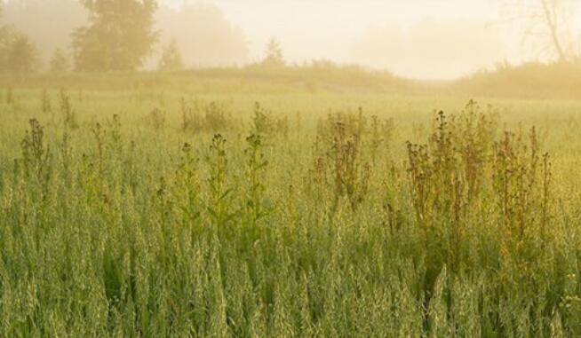 人生迷茫的正能量句子文案