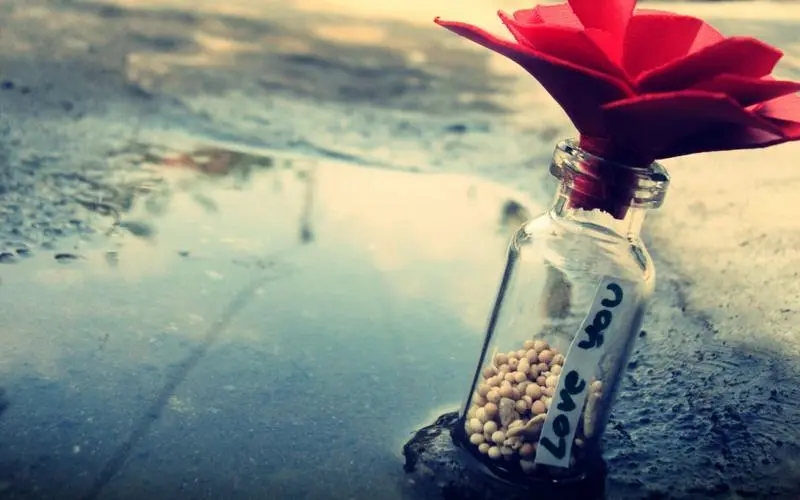 爱情经不起考验的句子文案