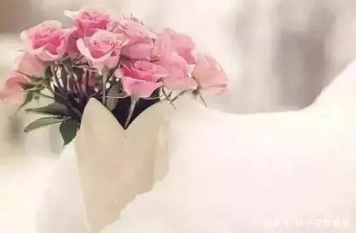 命中注定的缘分暗示句子文案