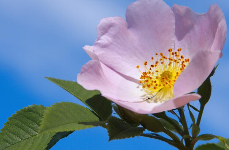 抖音火的励志语录文案短句