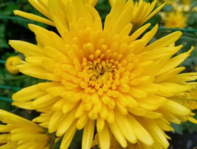 家父去世朋友圈告知