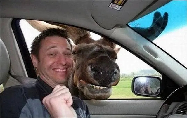 团队传话游戏搞笑句子文案