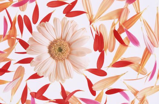 课外读书笔记好词好句文案