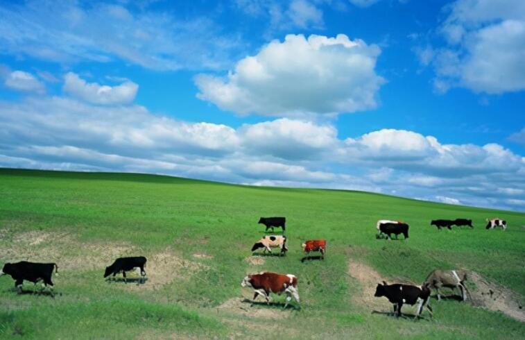 摘抄美景的句子文案