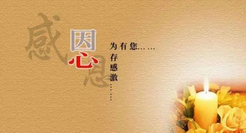 关于感恩的名言名句文案