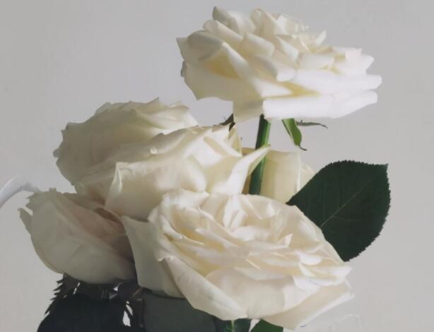 超级唯美的短句